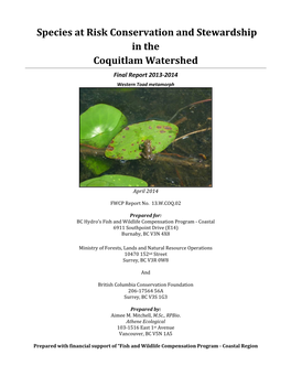 Species at Risk Conservation and Stewardship in the Coquitlam Watershed Final Report 2013-2014 Western Toad Metamorph