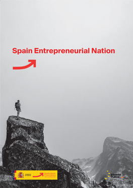 Spain Entrepreneurial Nation Strategy 36 2.4