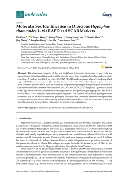 Molecular Sex Identification in Dioecious Hippophae Rhamnoides L. Via RAPD and SCAR Markers