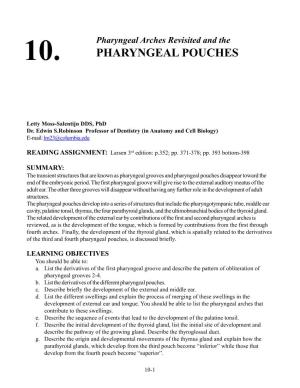 Pharyngeal Pouches