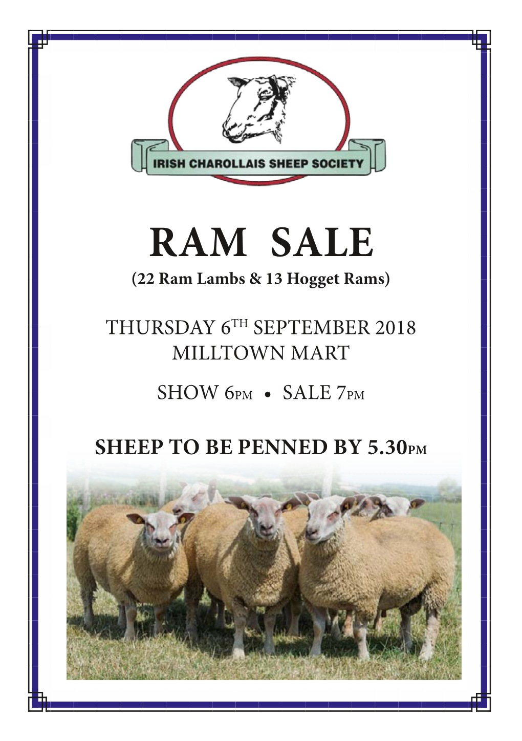 RAM SALE (22 Ram Lambs & 13 Hogget Rams)