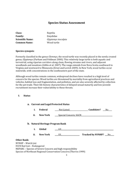 Species Assessment for Wood Turtle