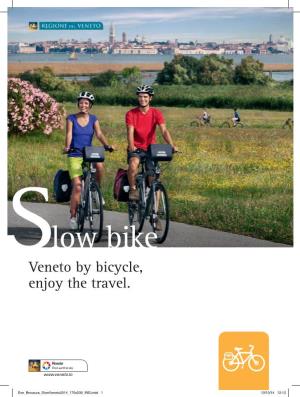 Low Bike Sveneto by Bicycle, Enjoy the Travel