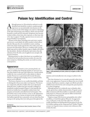 Poison Ivy: Identification and Control