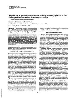 Regulation of Glutamine Synthetase Activity Byadenylylationin the Gram-Positive Bacterium Streptomyces Cattleya