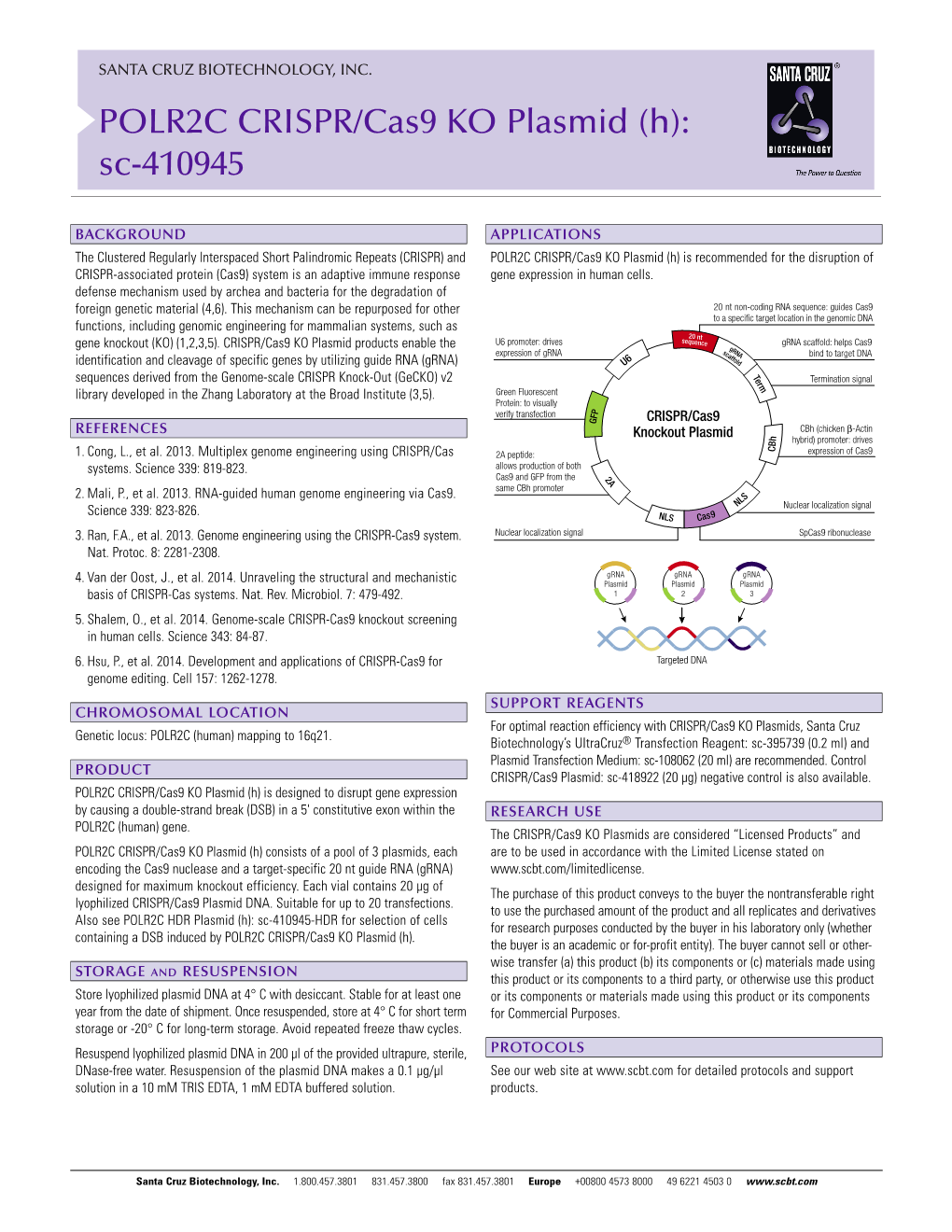 POLR2C CRISPR/Cas9 KO Plasmid (H): Sc-410945