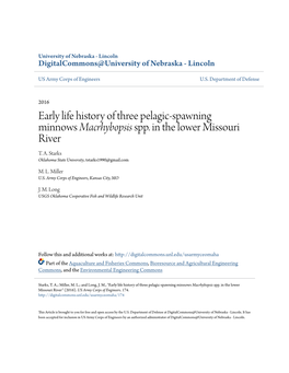 Early Life History of Three Pelagic-Spawning Minnows Macrhybopsis Spp. in the Lower Missouri River T