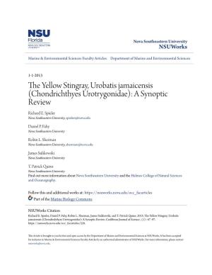 The Yellow Stingray, Urobatis Jamaicensis (Chondrichthyes: Urotrygonidae): a Synoptic Review