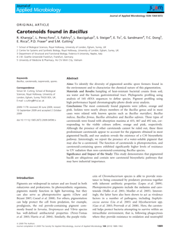 Carotenoids Found in Bacillus R