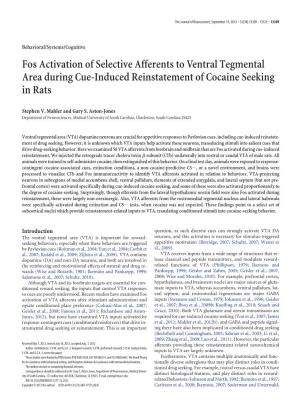 Fos Activation of Selective Afferents to Ventral Tegmental Area During Cue-Induced Reinstatement of Cocaine Seeking in Rats