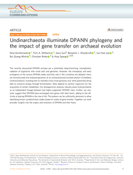 Undinarchaeota Illuminate DPANN Phylogeny and the Impact of Gene Transfer on Archaeal Evolution
