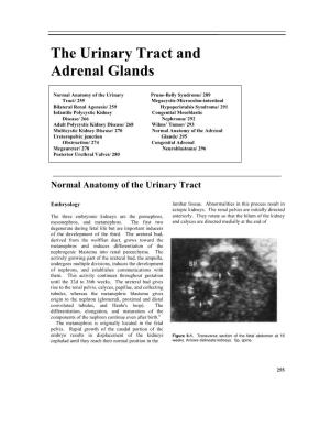 The Urinary Tract and Adrenal Glands