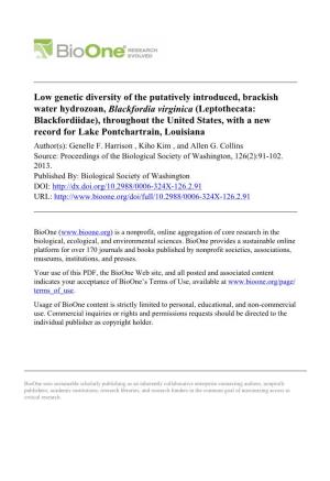 Low Genetic Diversity of the Putatively Introduced, Brackish Water Hydrozoan, Blackfordia Virginica (Leptothecata: Blackfordiida