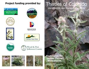 Thistles of Colorado Identification and Management Guide