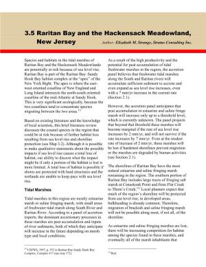Raritan Bay and the Hackensack Meadowland, New Jersey Author: Elizabeth M