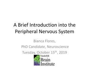 A Brief Introduction Into the Peripheral Nervous System
