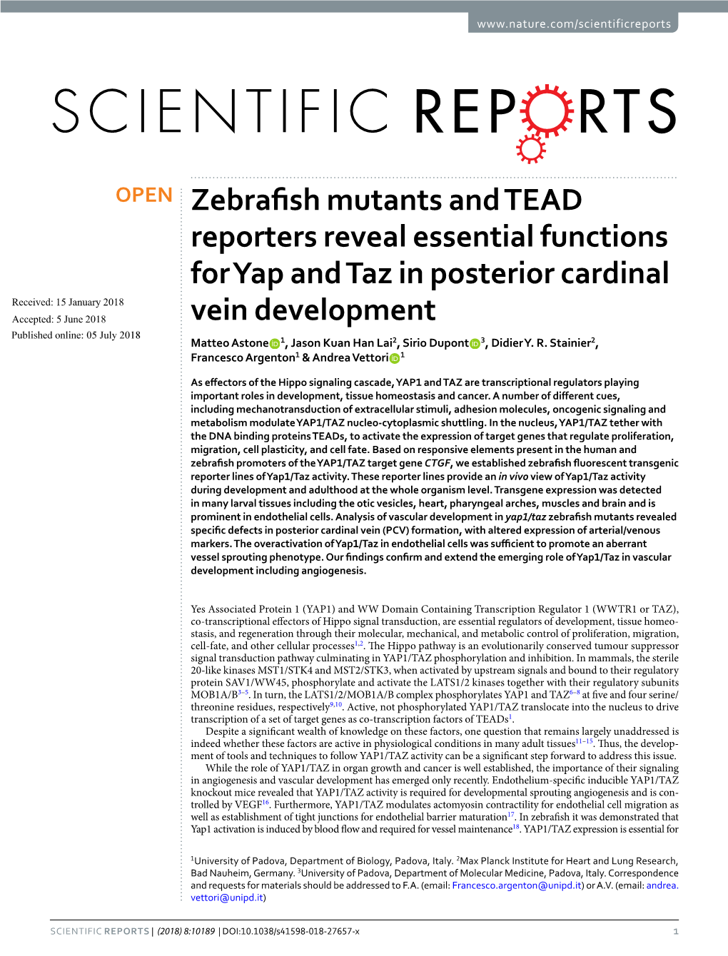 Zebrafish Mutants and TEAD Reporters Reveal Essential Functions for Yap