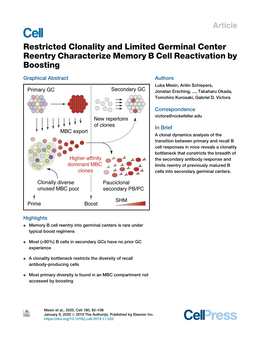 Restricted Clonality and Limited Germinal Center Reentry Characterize Memory B Cell Reactivation by Boosting