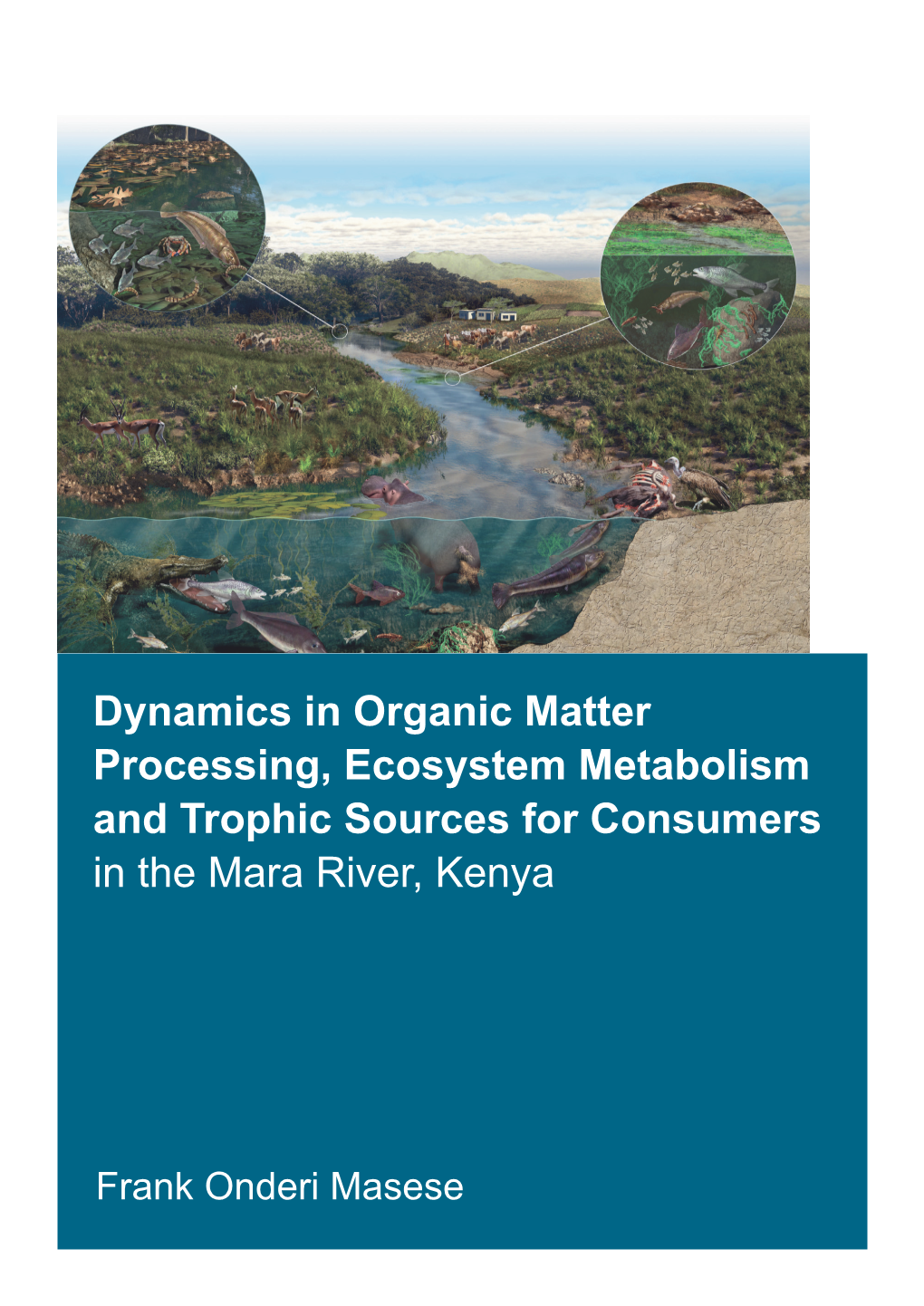 Dynamics in Organic Matter Processing, Ecosystem Metabolism and Trophic Sources for Consumers in the Mara River, Kenya