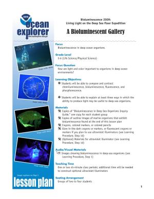 A Bioluminescent Gallery