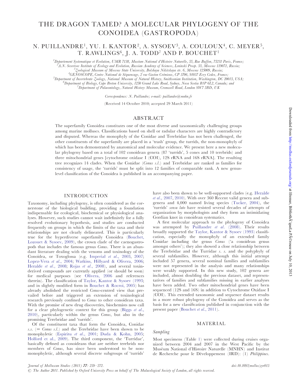 A Molecular Phylogeny of the Conoidea (Gastropoda)