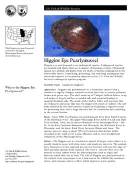 Higgins Eye Pearlymussel Is Found in the Upper Mississippi River and Several of Its Tributaries