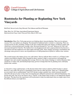 Rootstocks for Planting Or Replanting New York Vineyards