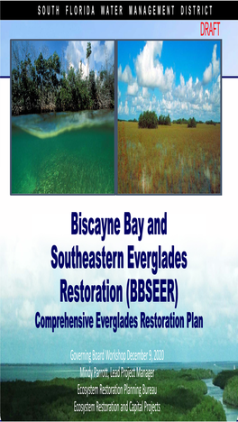 Biscayne Bay and Southeastern Everglades Restoration