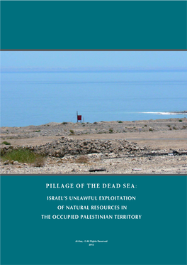 Pillage of the Dead Sea