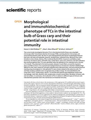 OPEN Morphological and Immunohistochemical Phenotype of Tcs in the Intestinal Bulb of Grass Carp and Their Potential Role in Intestinal Immunity Hanan H