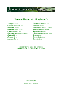 Hamamelidaceae (& Altingiaceae*)