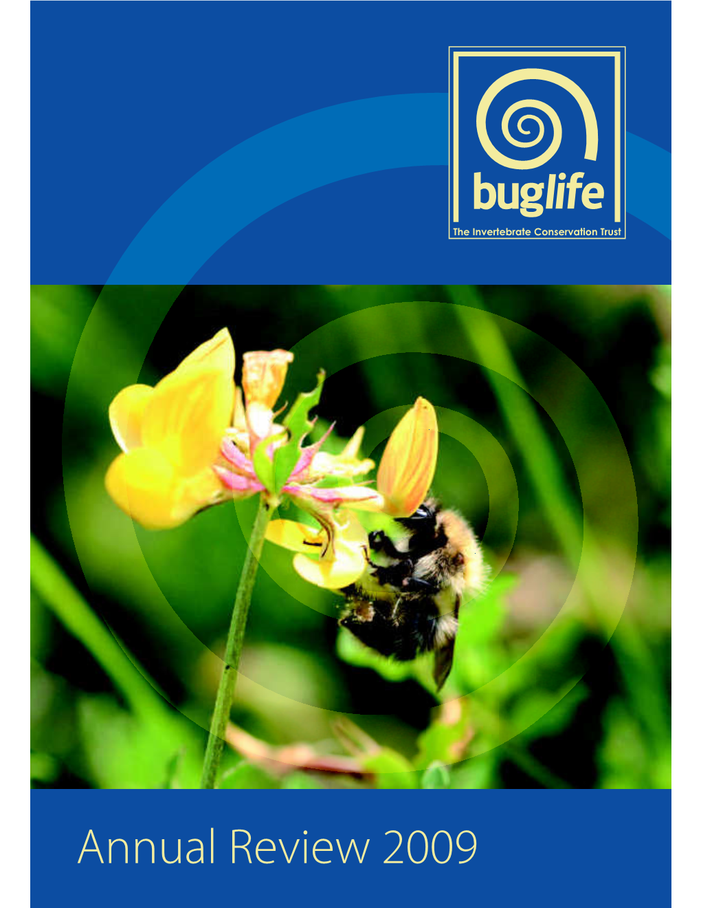 Buglife Annual Report