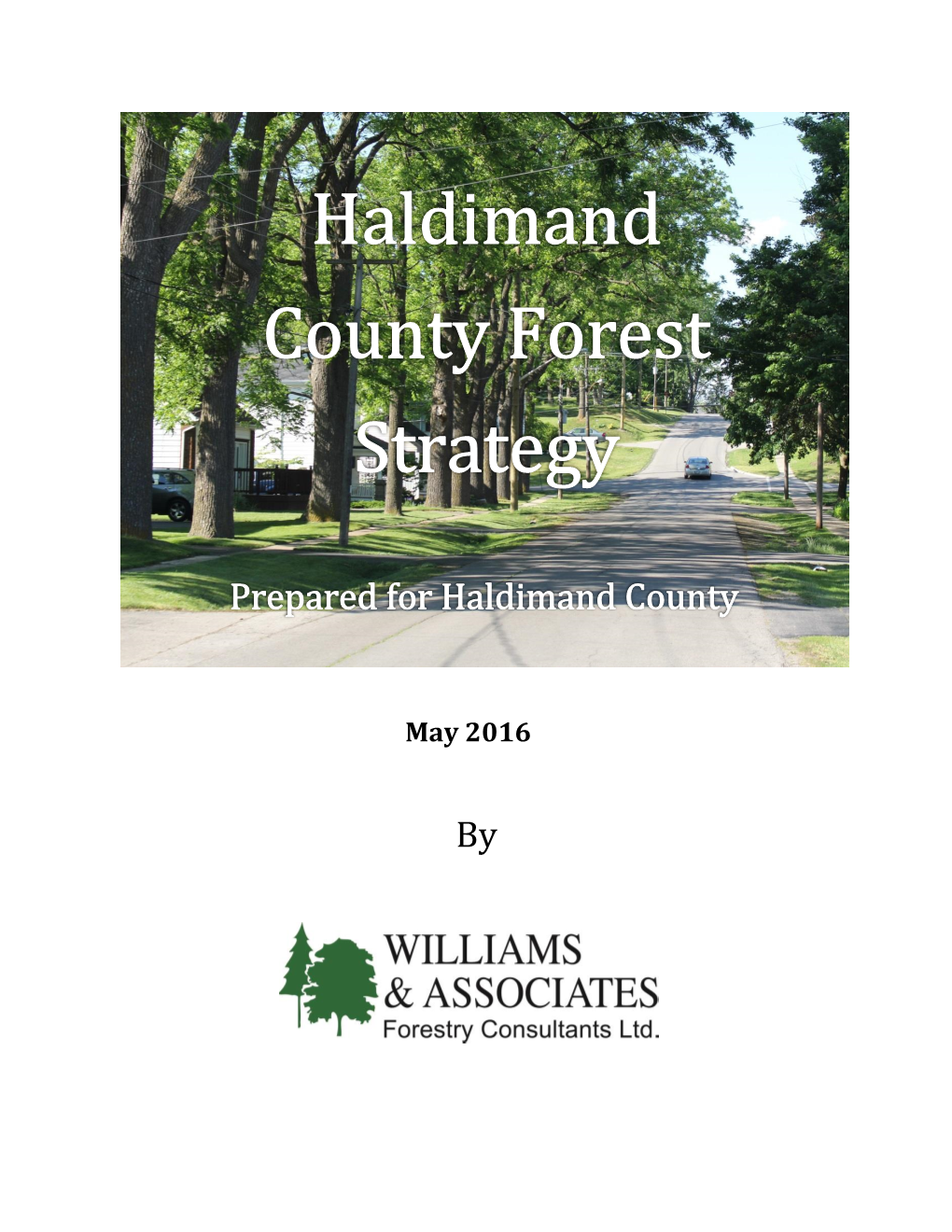 Haldimand County Forest Strategy