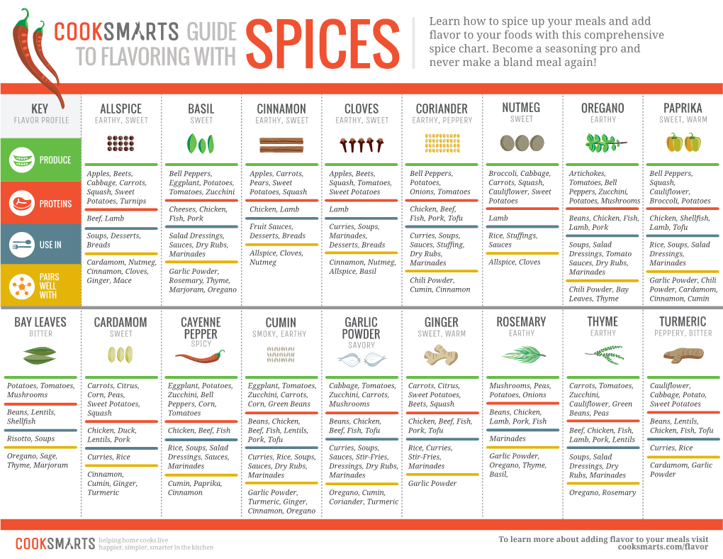 SPICE-INFOGRAPHIC.Pdf