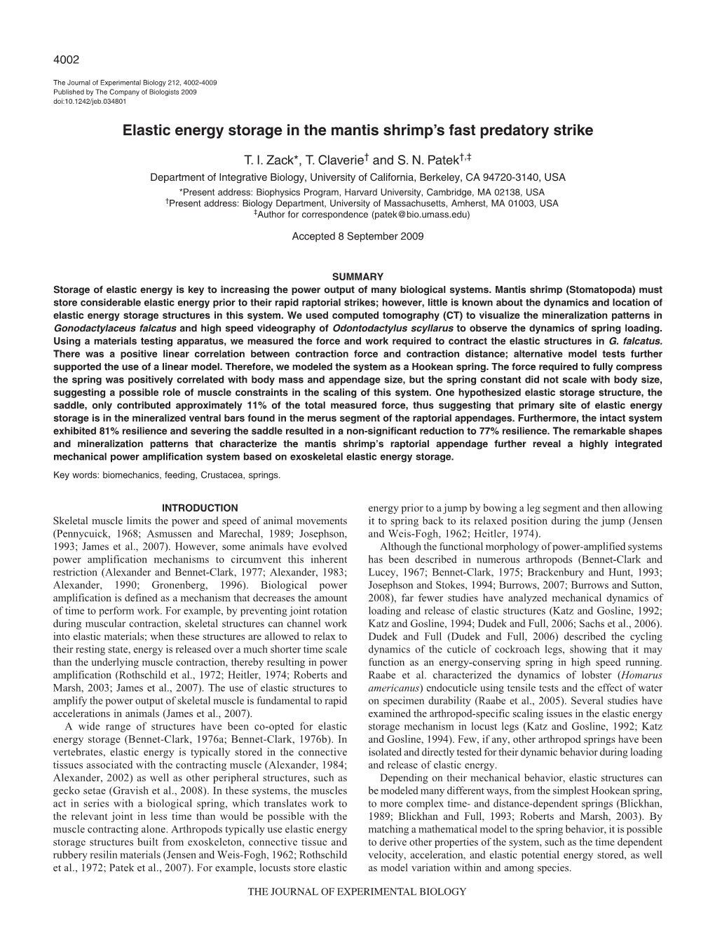 Elastic Energy Storage in the Mantis Shrimp's Fast Predatory Strike