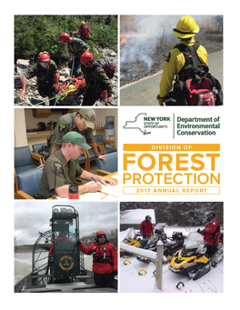 2017 Annual Forest Ranger Report