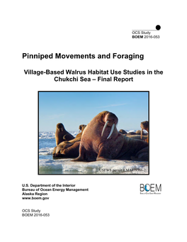Pinniped Movements and Foraging