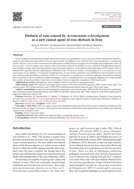 Dieback of Rose Caused by Acremonium Sclerotigenum As a New Causal Agent of Rose Dieback in Iran