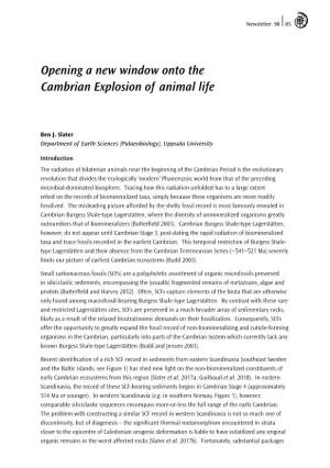 Opening a New Window Onto the Cambrian Explosion of Animal Life
