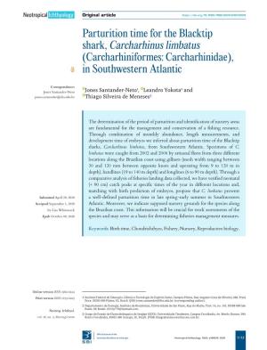 Parturition Time for the Blacktip Shark, Carcharhinus Limbatus (Carcharhiniformes: Carcharhinidae), in Southwestern Atlantic