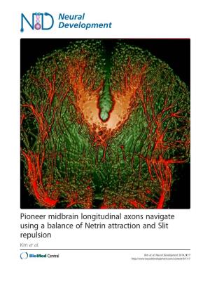 Pioneer Midbrain Longitudinal Axons Navigate Using a Balance of Netrin Attraction and Slit Repulsion Kim Et Al