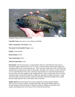 Common Name: SUWANNEE BASS Scientific Name: Micropterus Notius Bailey and Hubbs Other Commonly Used Names: None Previously Used