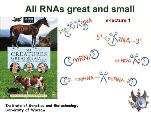 All Rnas Great and Small E-Lecture 1