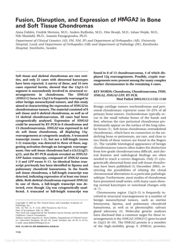 Fusion, Disruption, and Expression of HMGA2 in Bone and Soft Tissue