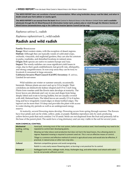 Raphanus Raphanistrum L.; Wild Radish Radish and Wild Radish