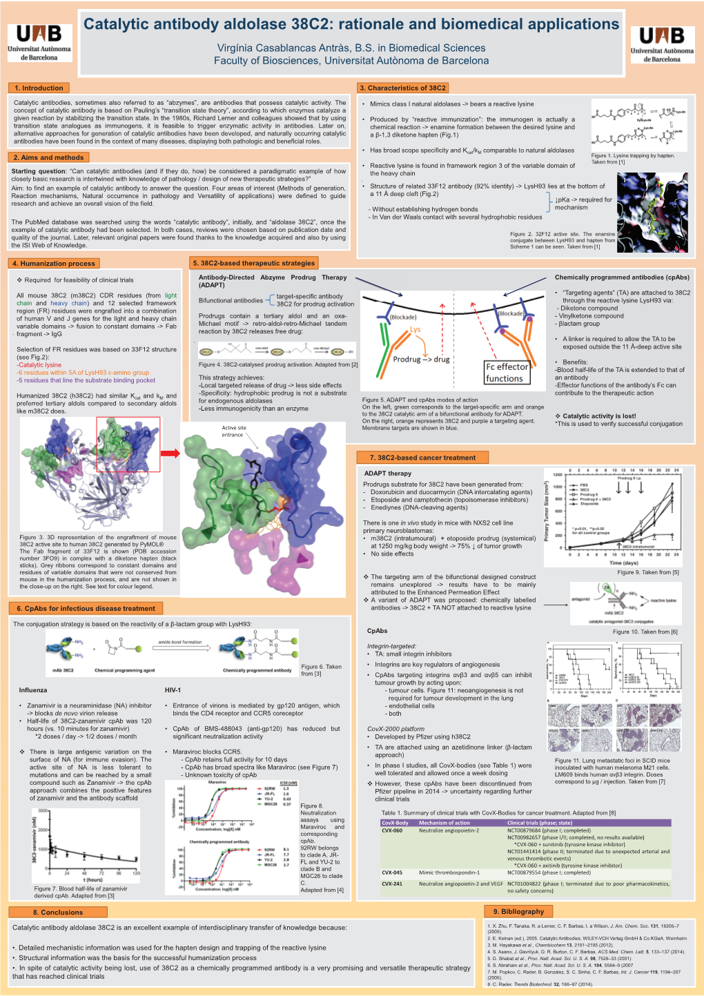 Catalytic Antibody Aldolase 38C2: Rationale and Biomedical Applications