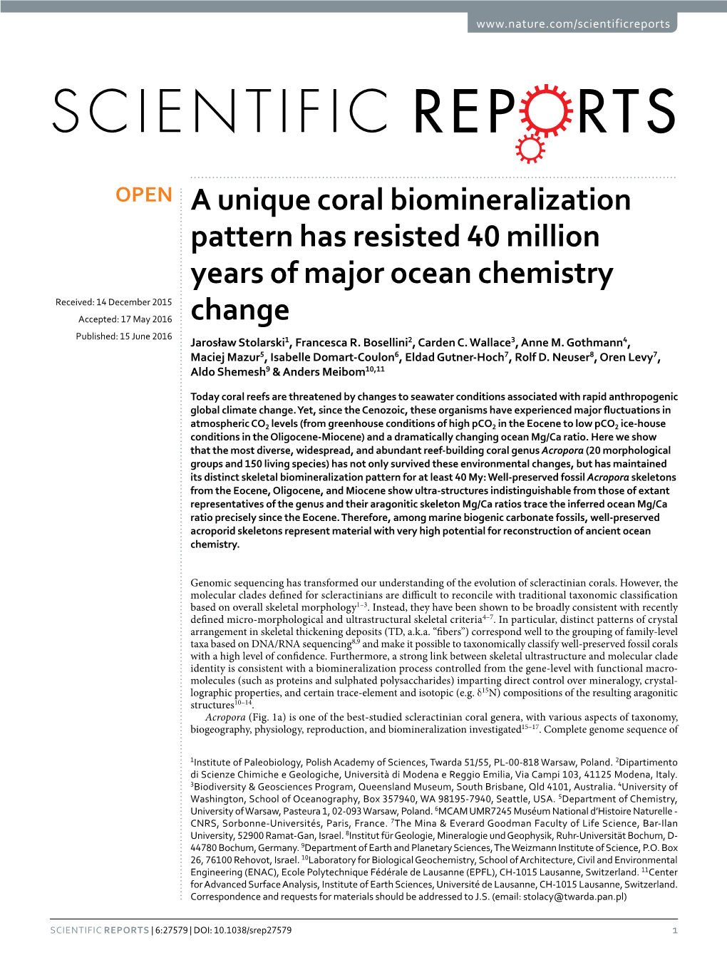 A Unique Coral Biomineralization Pattern Has Resisted 40 Million Years of Major Ocean Chemistry Change