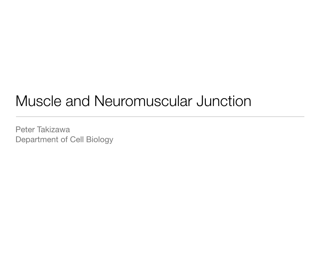 Muscle and Neuromuscular Junction