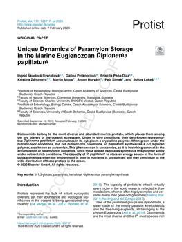 Unique Dynamics of Paramylon Storage in the Marine Euglenozoan