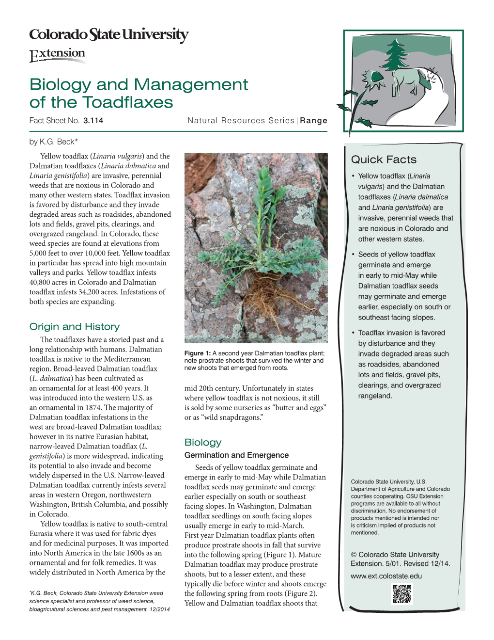 Biology and Management of the Toadflaxes Fact Sheet No